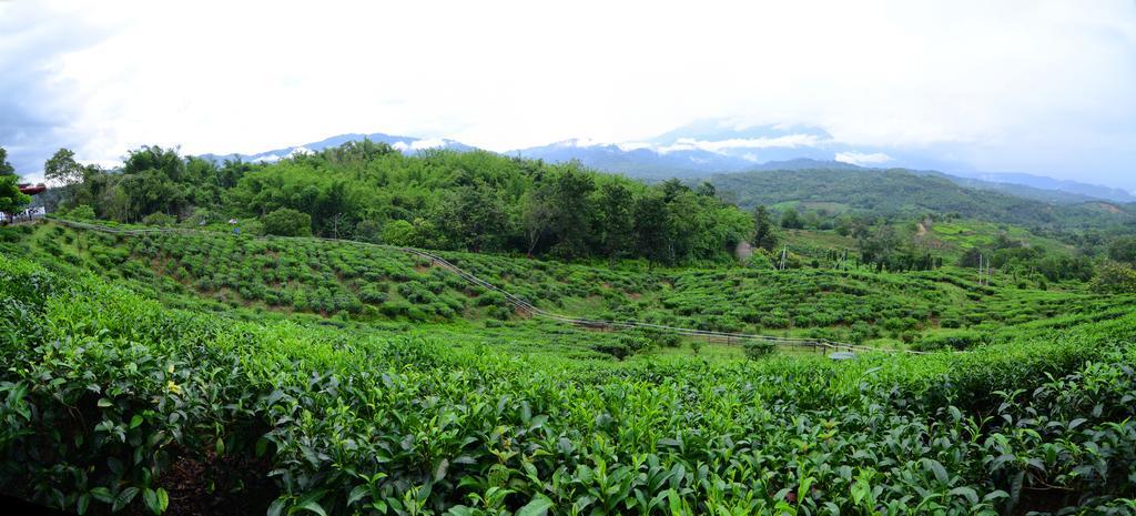 Sabah Tea Resort Ранау Экстерьер фото