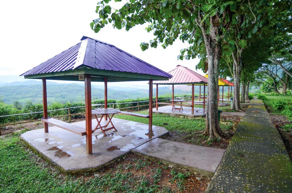 Sabah Tea Resort Ранау Экстерьер фото