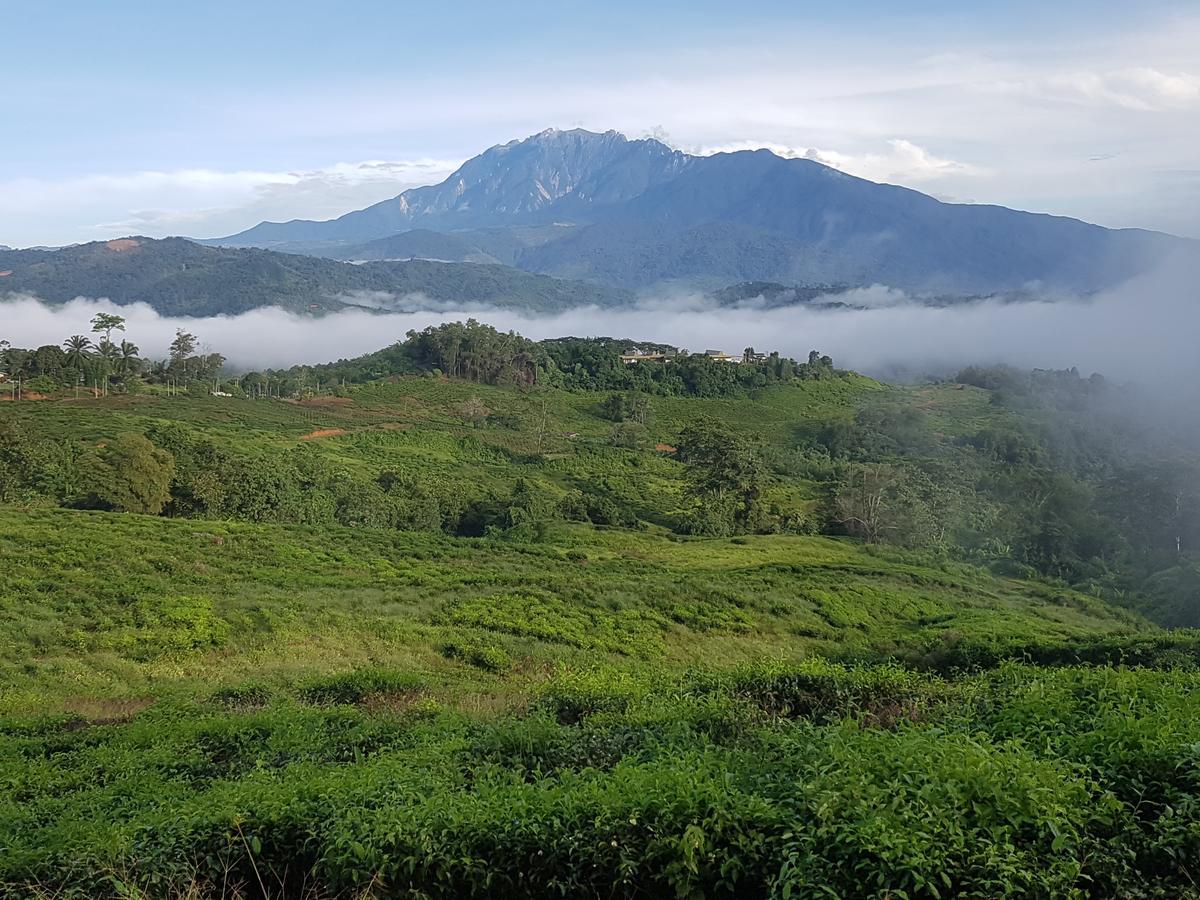 Sabah Tea Resort Ранау Экстерьер фото