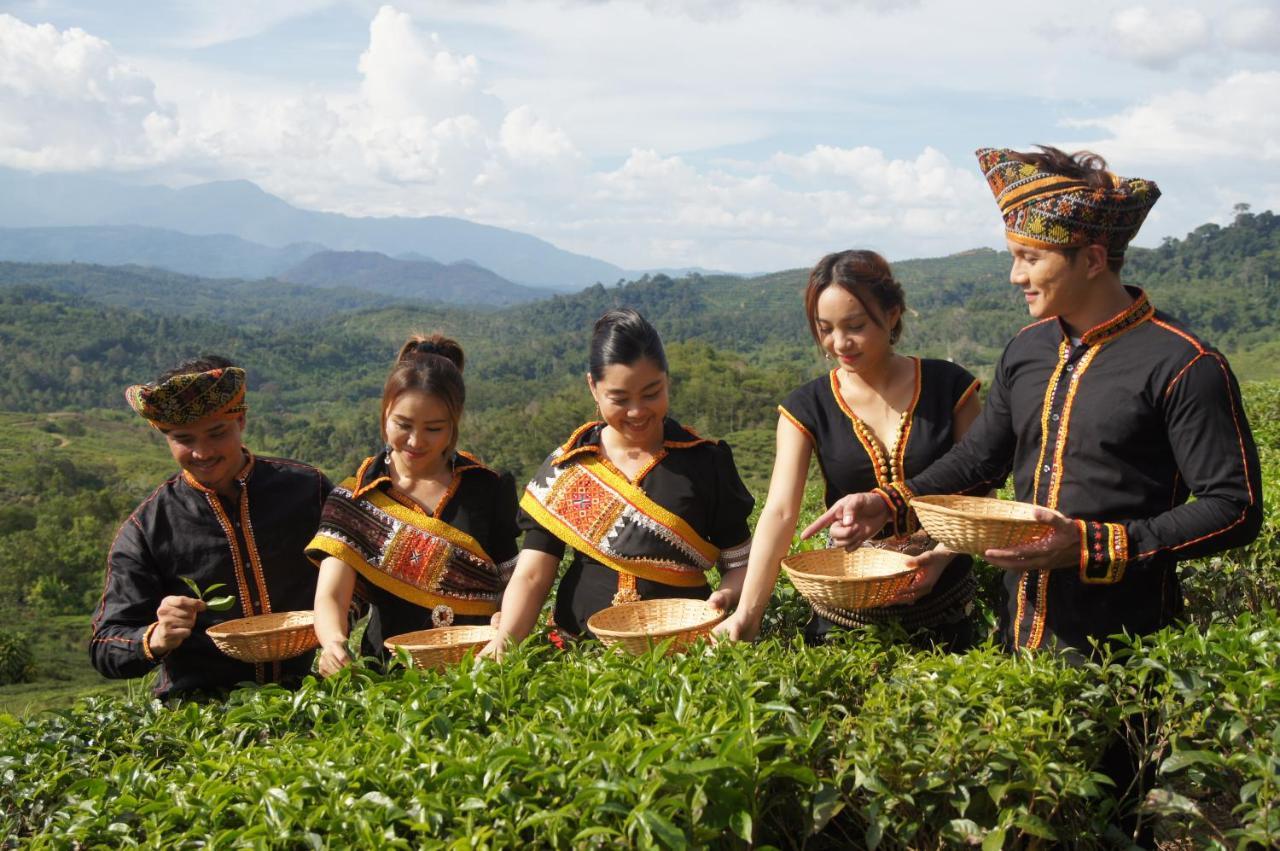 Sabah Tea Resort Ранау Экстерьер фото