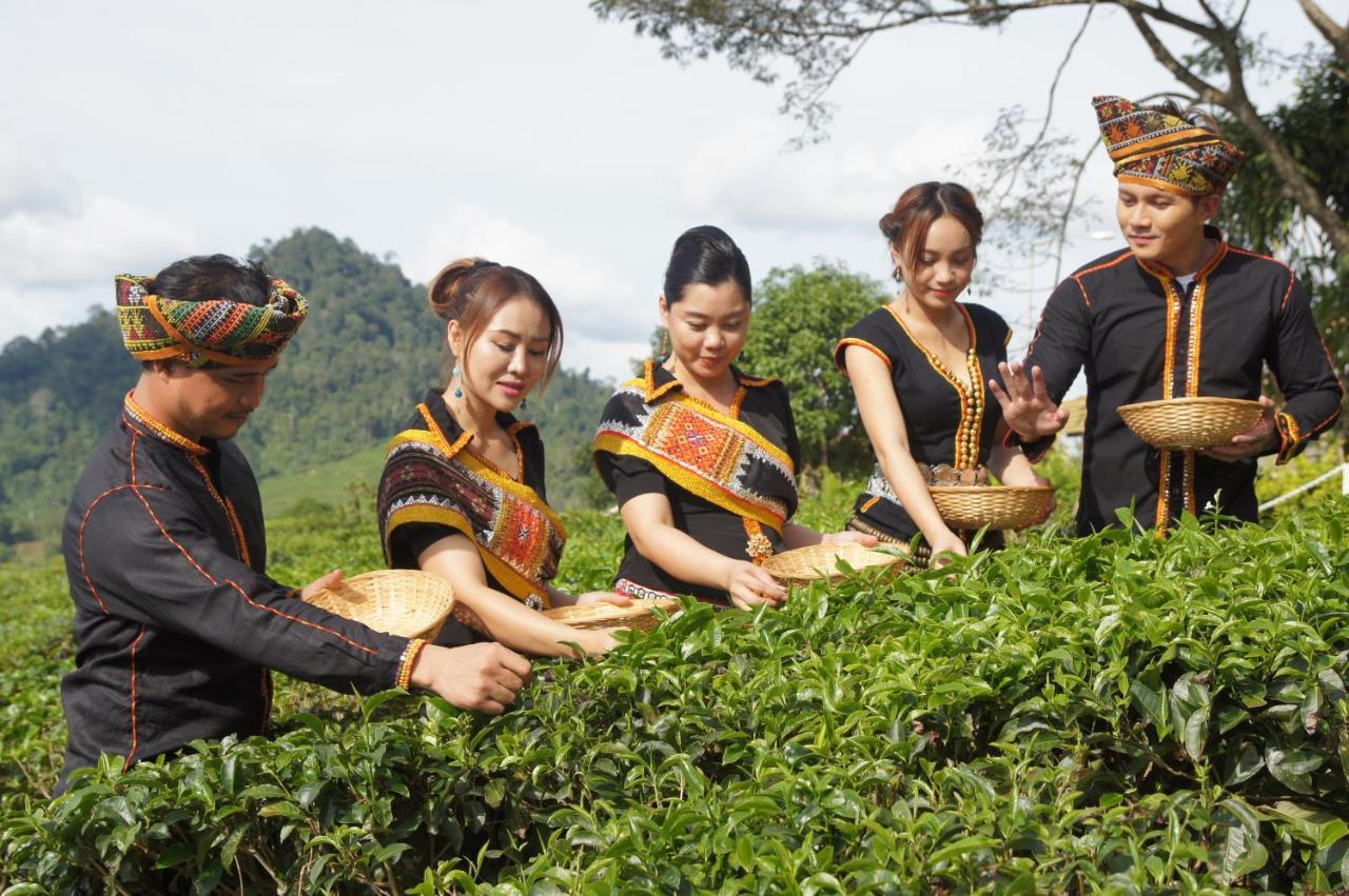 Sabah Tea Resort Ранау Экстерьер фото