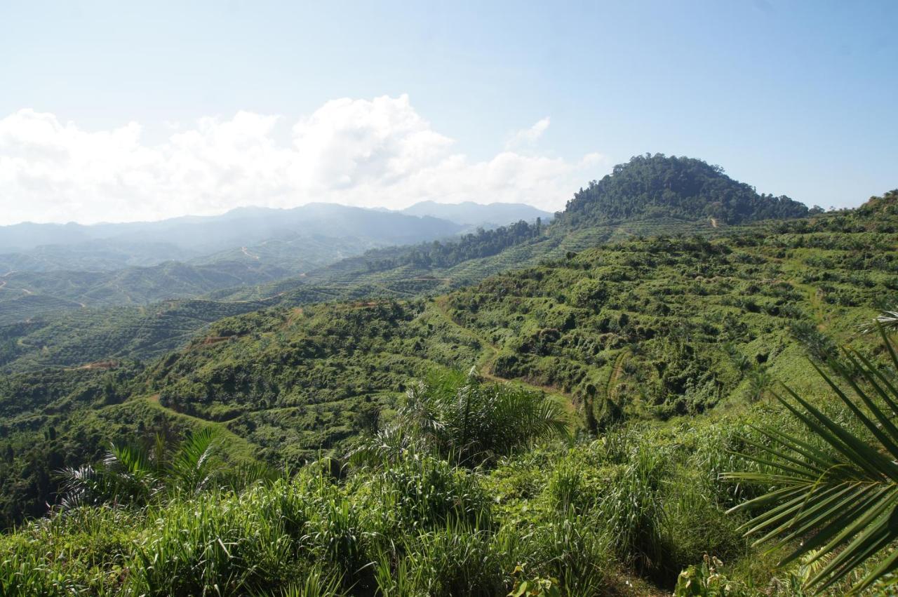 Sabah Tea Resort Ранау Экстерьер фото